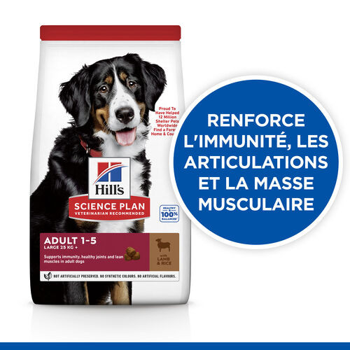 Hill's Adult Advanced Fitness Large Breed Lamm & Reis Hundefutter 