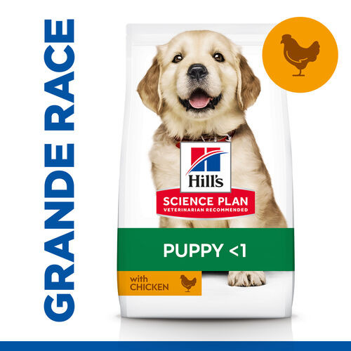 Hill's Puppy Healthy Development Large Breed Huhn Hundefutter 