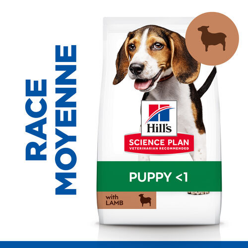 Hill's Puppy Healthy Development Lamm & Reis Hundefutter 