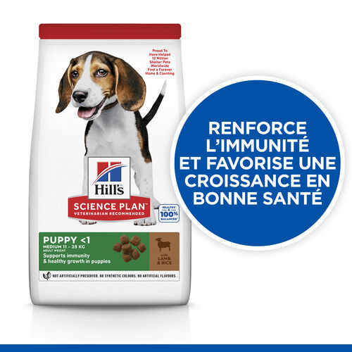 Hill's Puppy Healthy Development Lamm & Reis Hundefutter 