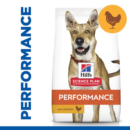 Hill's Adult Performance Huhn Hundefutter 