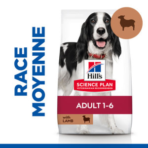 Hill's Adult Advanced Fitness Lamm & Reis Hundefutter 