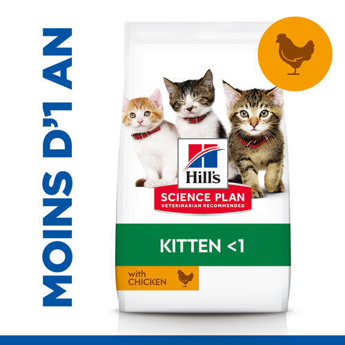 Hill's Kitten Healthy Development Huhn Katzenfutter