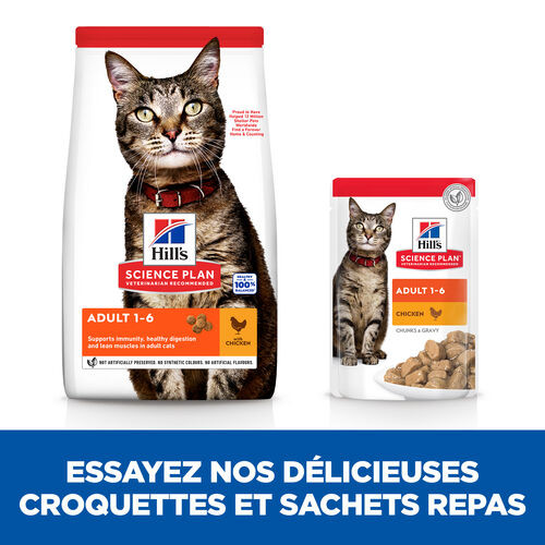 Hill's Adult au poulet pour chat