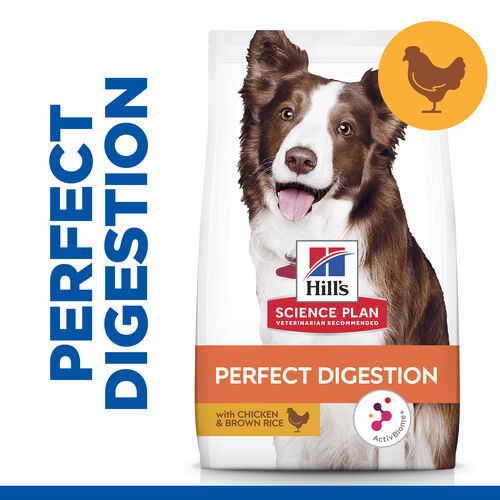 Hill's Adult Perfect Digestion Medium met kip & bruine rijst hondenvoer