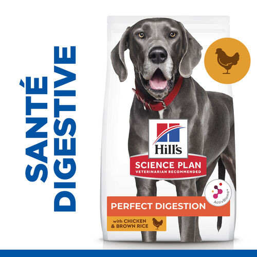 Hill's Adult Perfect Digestion Large met kip & bruine rijst hondenvoer