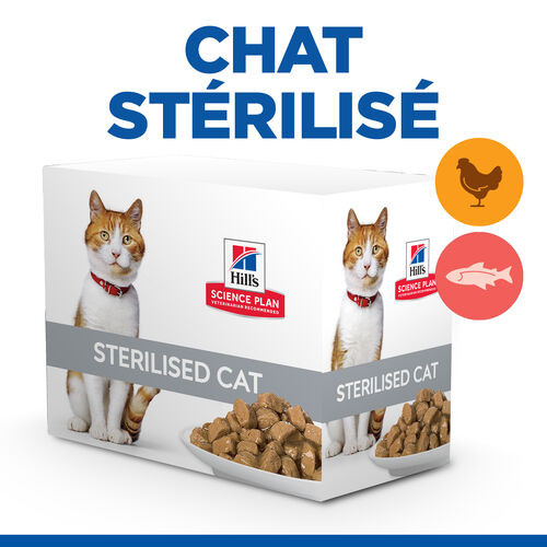 Hill's Healthy Cuisine Adult Sterilised mijoté au poulet et saumon aux légumes multipack pour chat