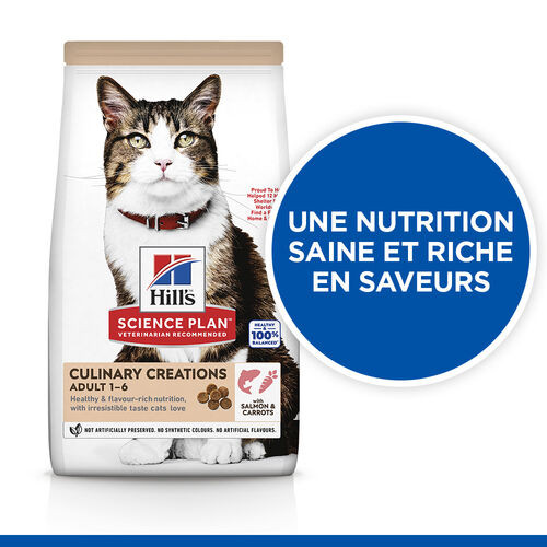 Hill's Culinary Creations Adult au saumon et à la carotte pour chat