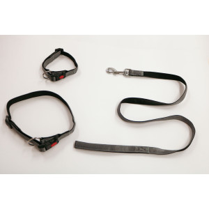 Collier ou laisse en nylon doublé gris Collier 20 mm