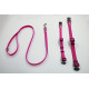 Collier ou laisse Luca en caoutchouc antidérapant fuchsia