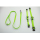 Collier ou laisse Luca en caoutchouc antidérapant lime