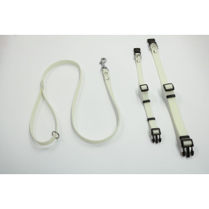 Collier ou laisse Luca en caoutchouc antidérapant fluorescent Collier 20 mm
