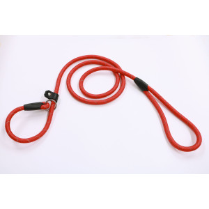 Laisse de dressage en nylon avec reflet 12mm x 170cm Néon