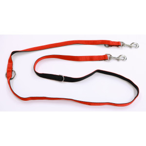 Laisse 3 points en nylon 20mm x 200cm Noir