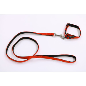 Collier en nylon doublé avec une sangle de 15mm x 120cm Rouge
