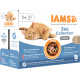 Iams Delights Adult  Sea Collection pâtée au poisson en sauce pour chat (12x85g)