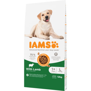 Iams for Vitality Adult Large à l'agneau pour chien 12 kg