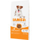 Iams for Vitality Adult Small & Medium au poulet pour chien