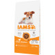 Iams for Vitality Puppy Small & Medium au poulet pour chiot