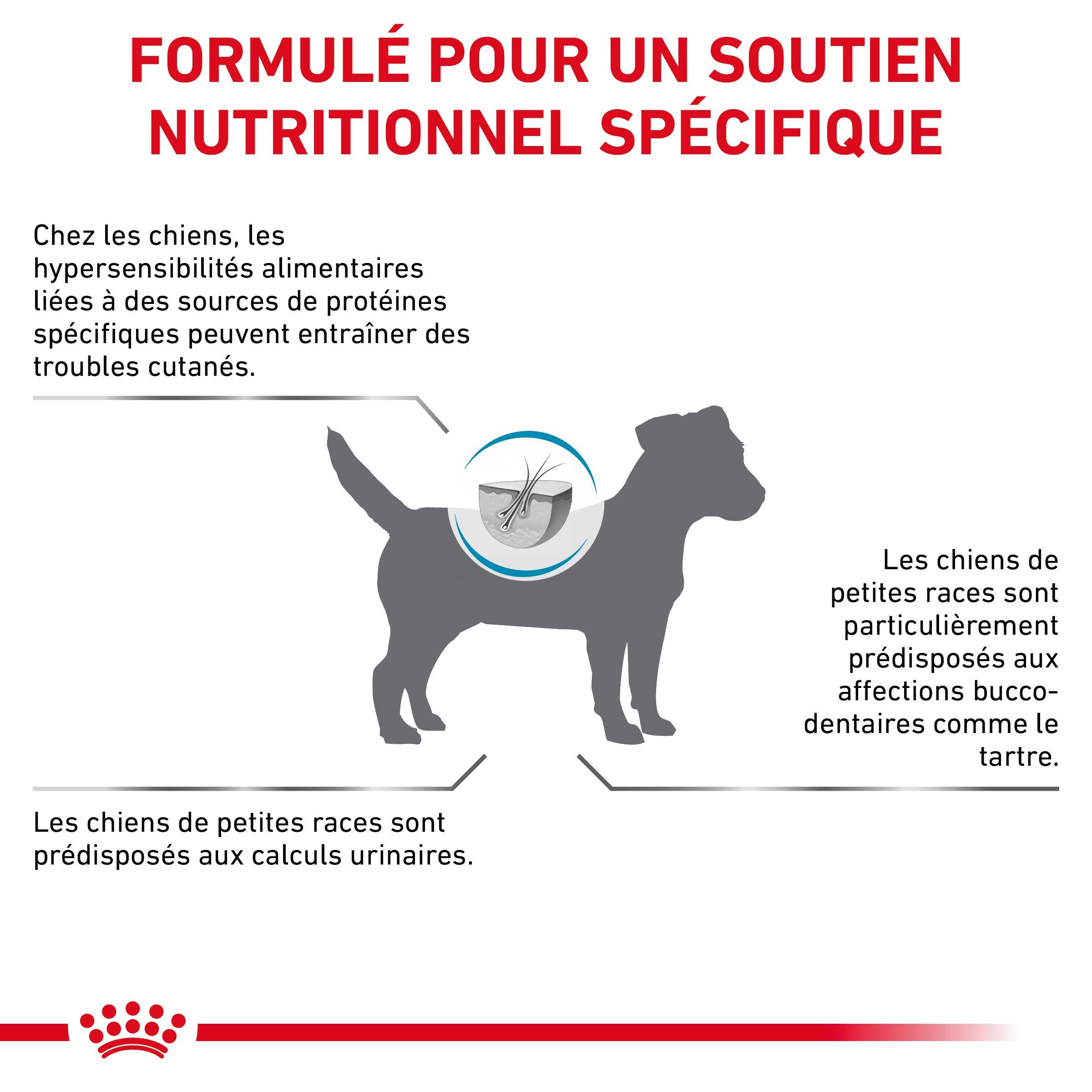 Royal Canin Veterinary Hypoallergenic Small Dogs pour chien