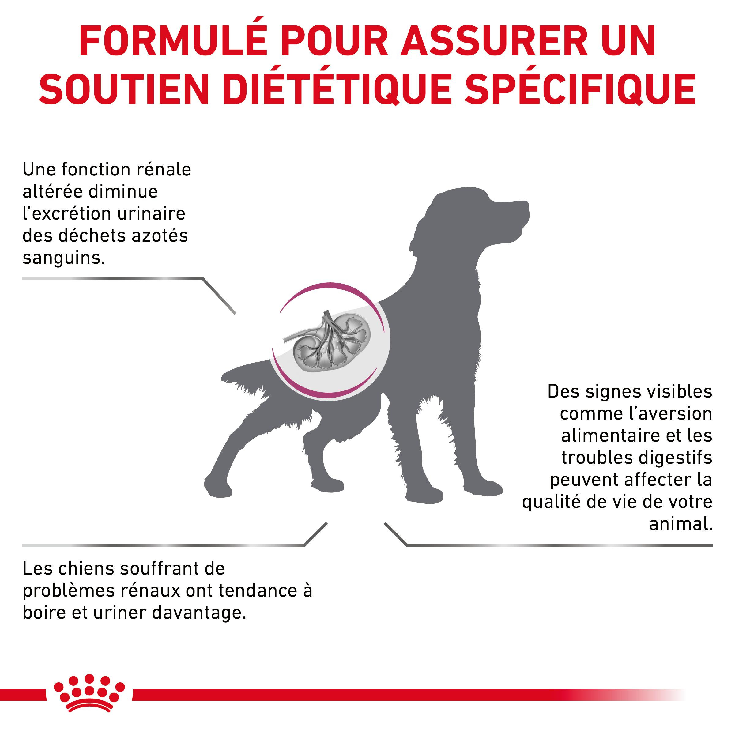 Royal Canin Renal Dog
