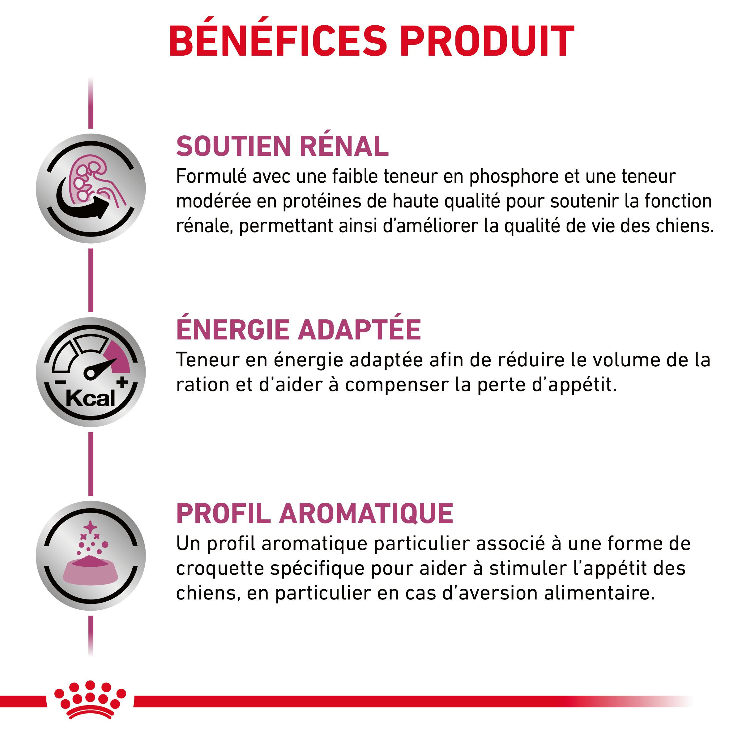 Royal Canin Renal Dog