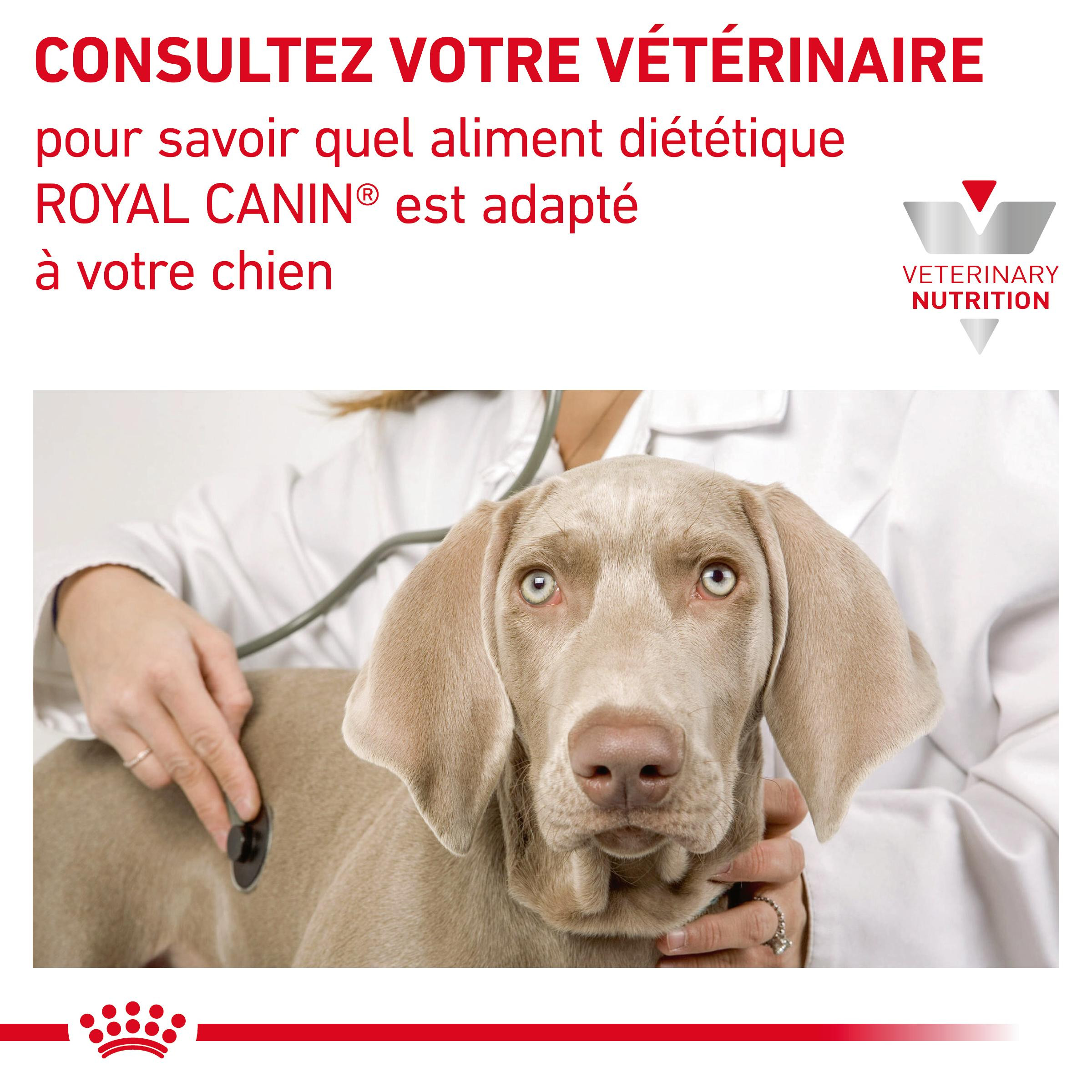 Royal Canin Renal Dog