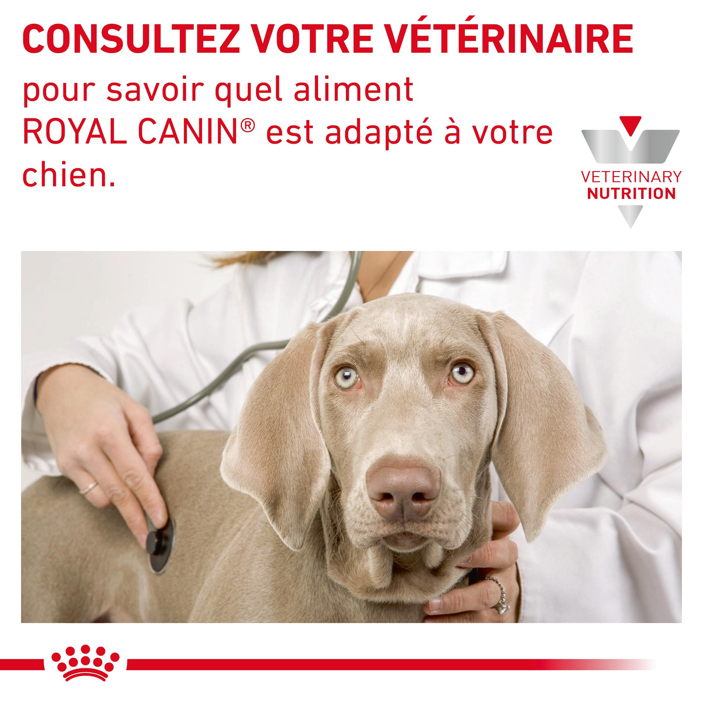 Royal Canin Veterinary Skin Care Small Dogs pour chien