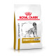 Royal Canin Veterinary Urinary S/O Ageing 7+ pour chien