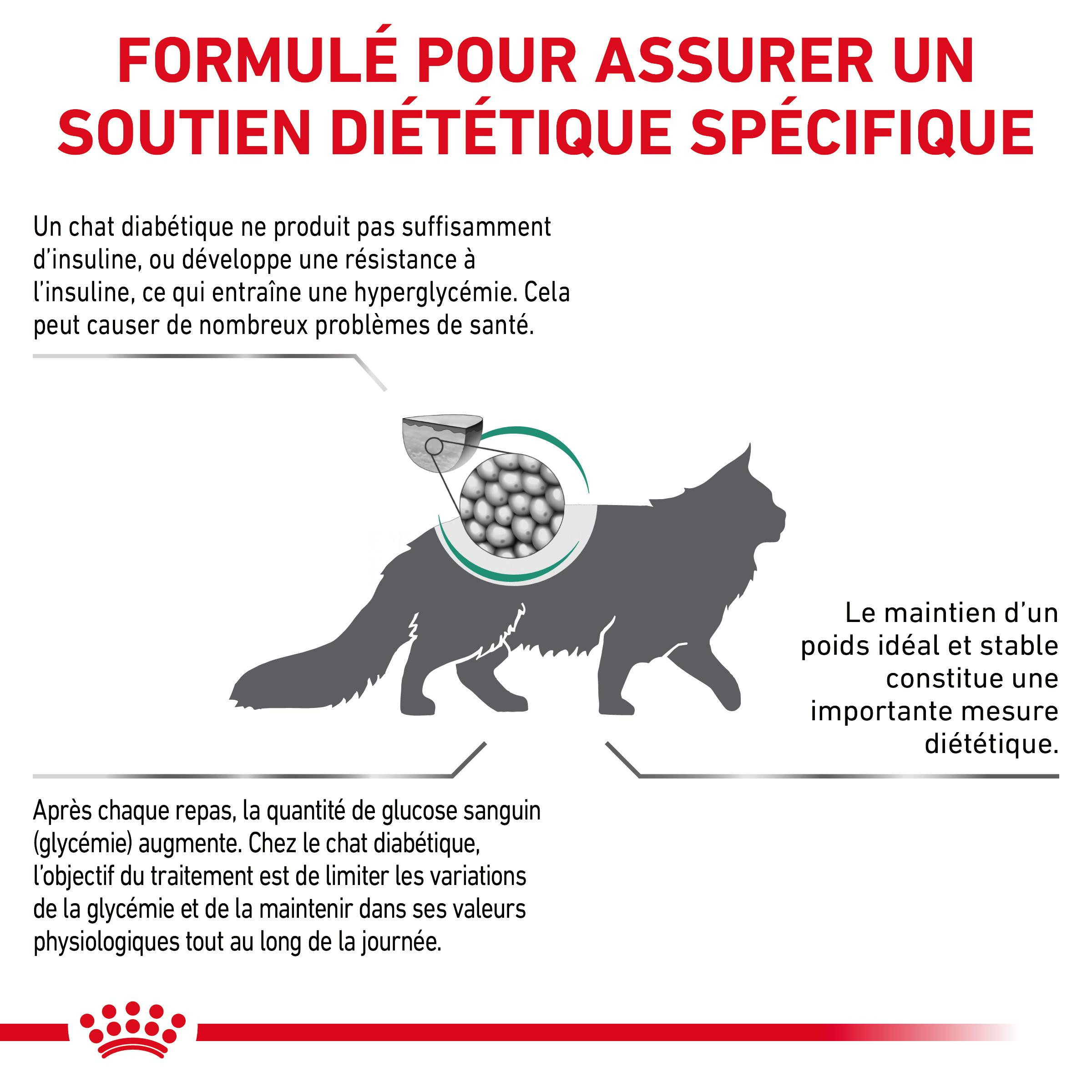 Royal Canin Veterinary Diabetic pour chat