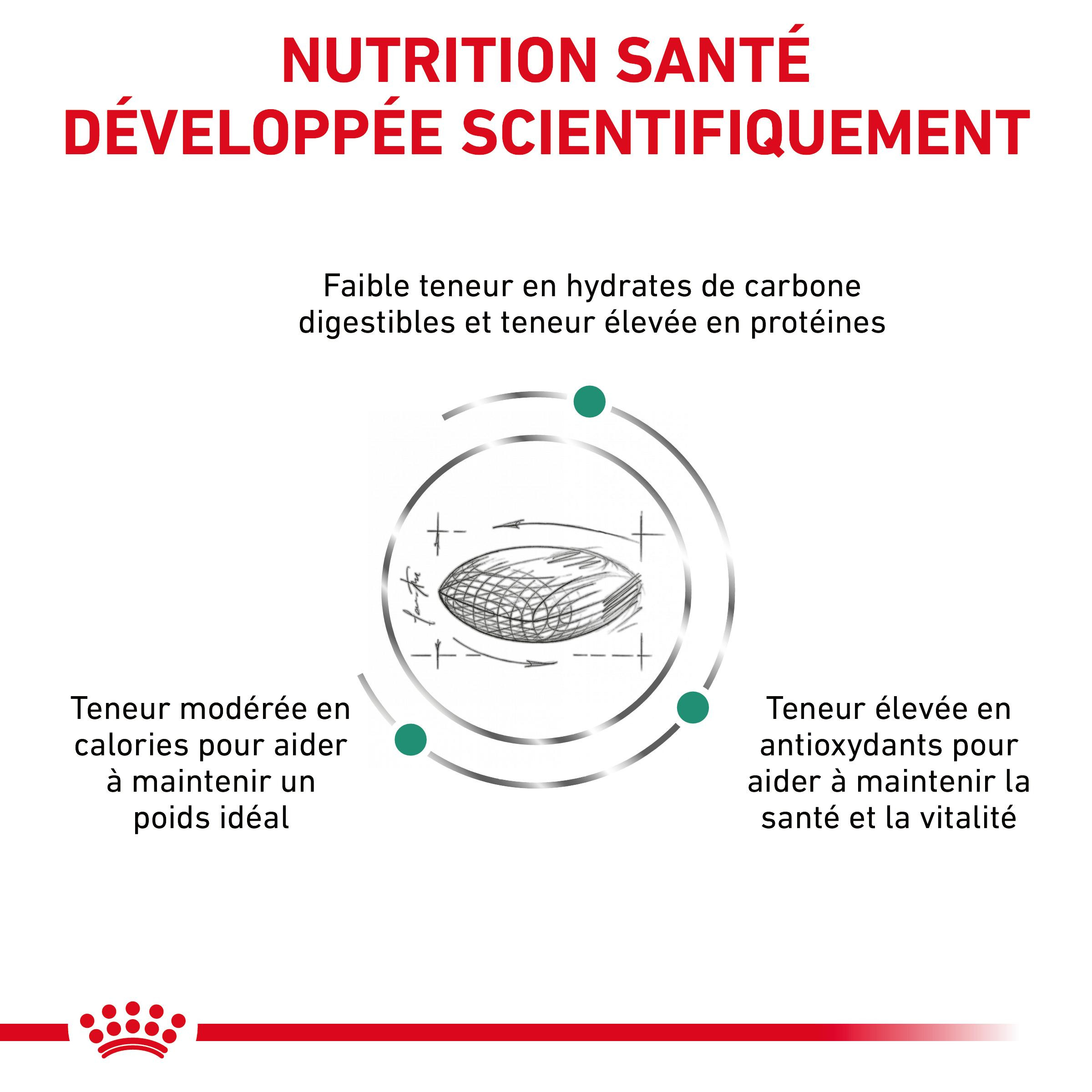 Royal Canin Veterinary Diabetic pour chat