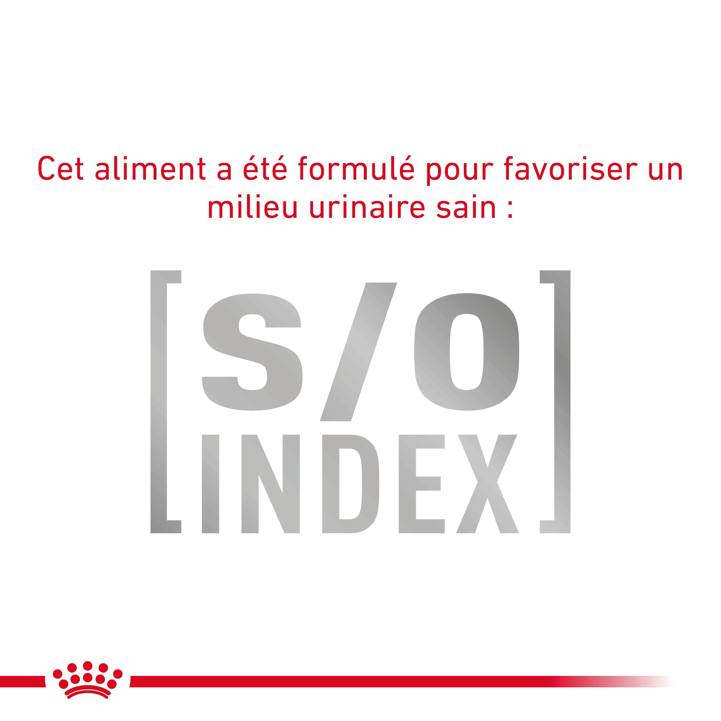 Royal Canin Veterinary Diabetic pour chat
