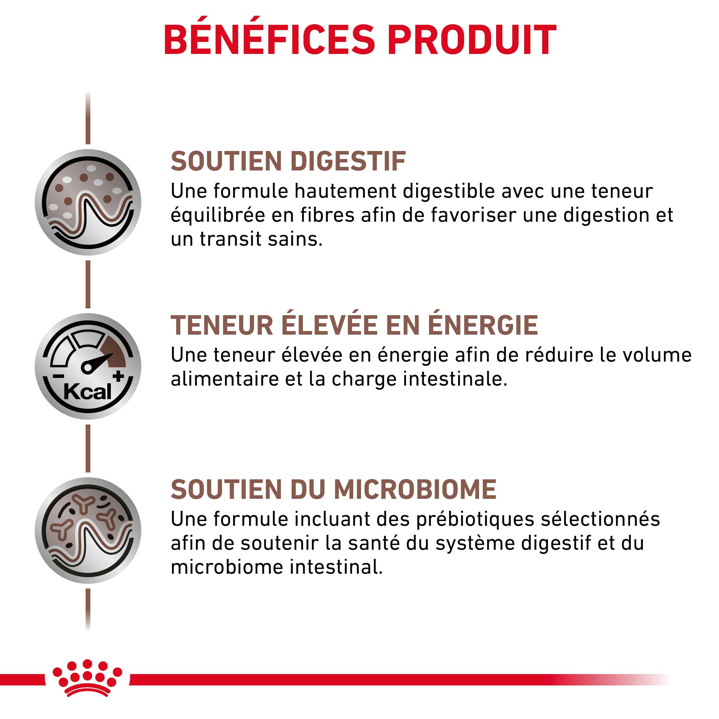 Royal Canin Gastro Intestinal kattenvoer