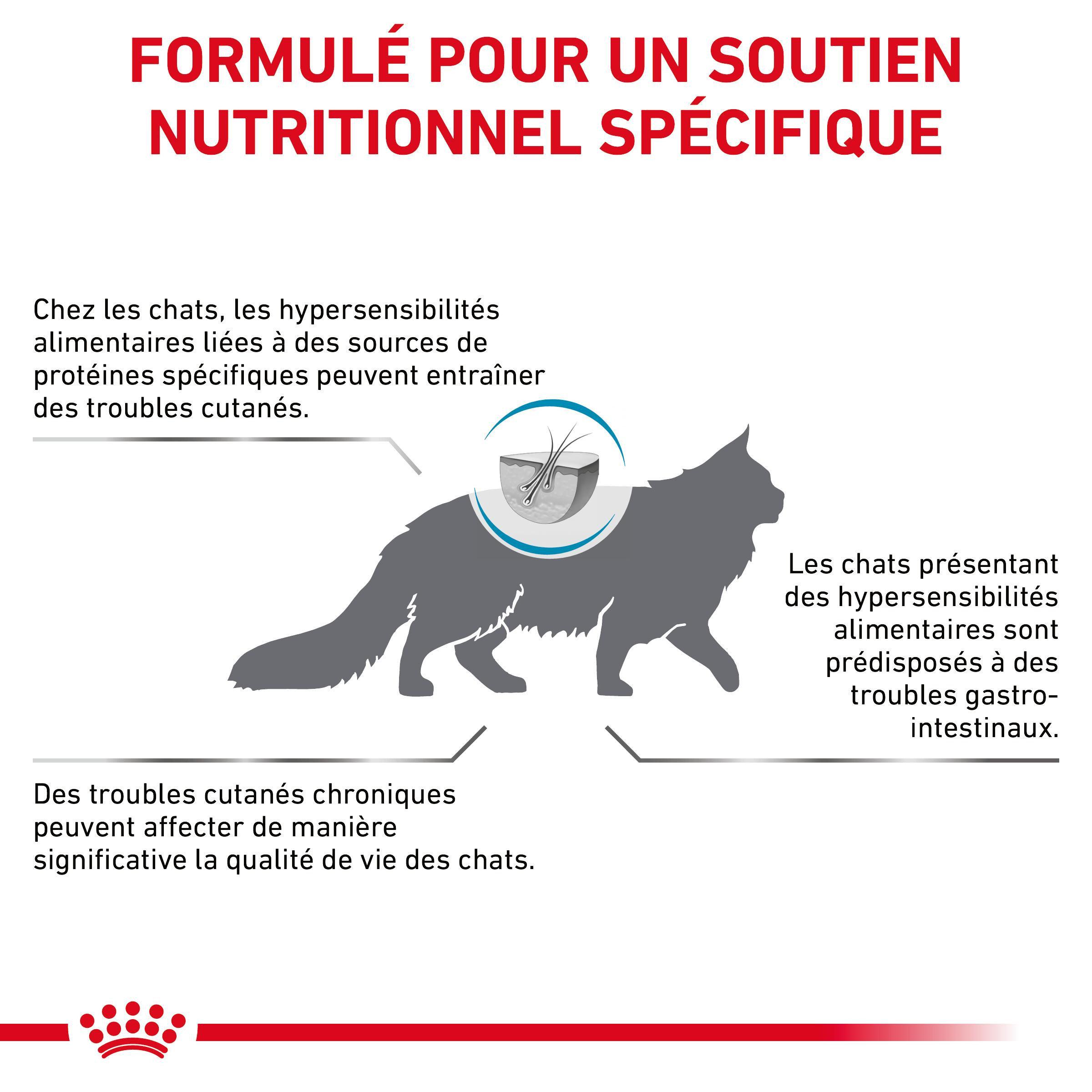 Royal Canin Hypoallergenic kattenvoer