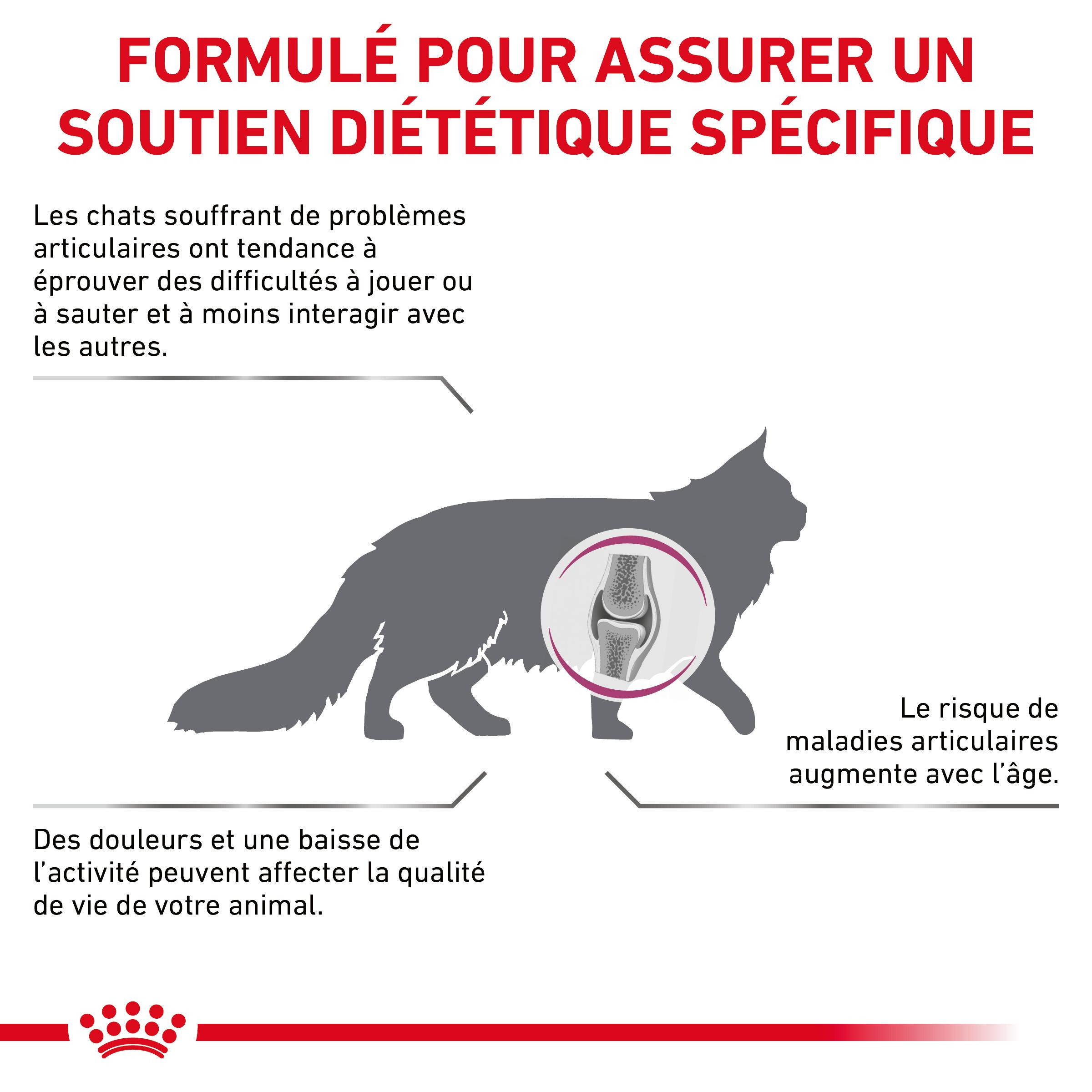 Royal Canin Veterinary Mobility pour chat