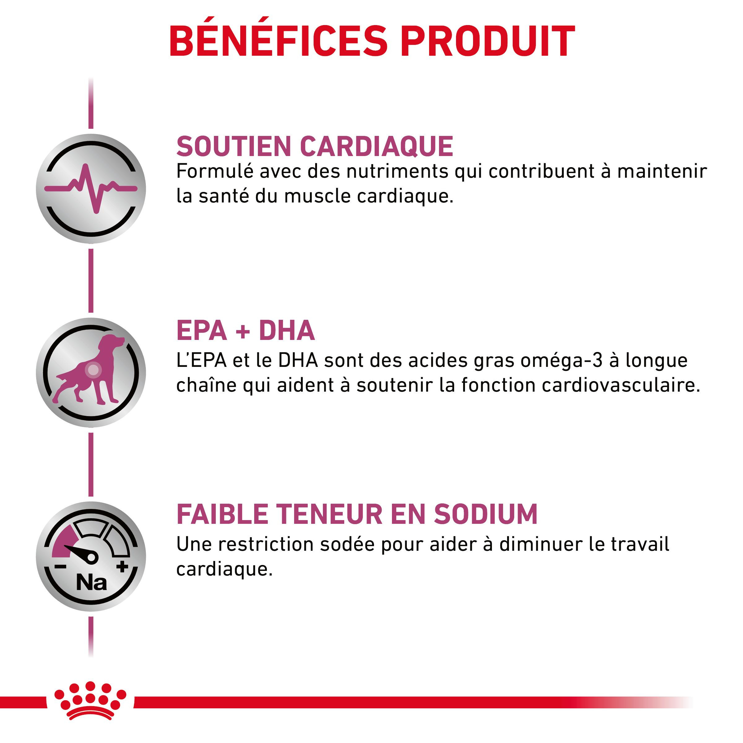 Royal Canin Veterinary Cardiac pâtée pour chien