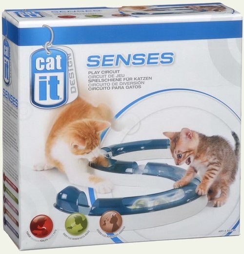 Cat It Senses Play Circuit