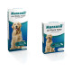 Mansonil All Worm Dog tasty bone pour chien
