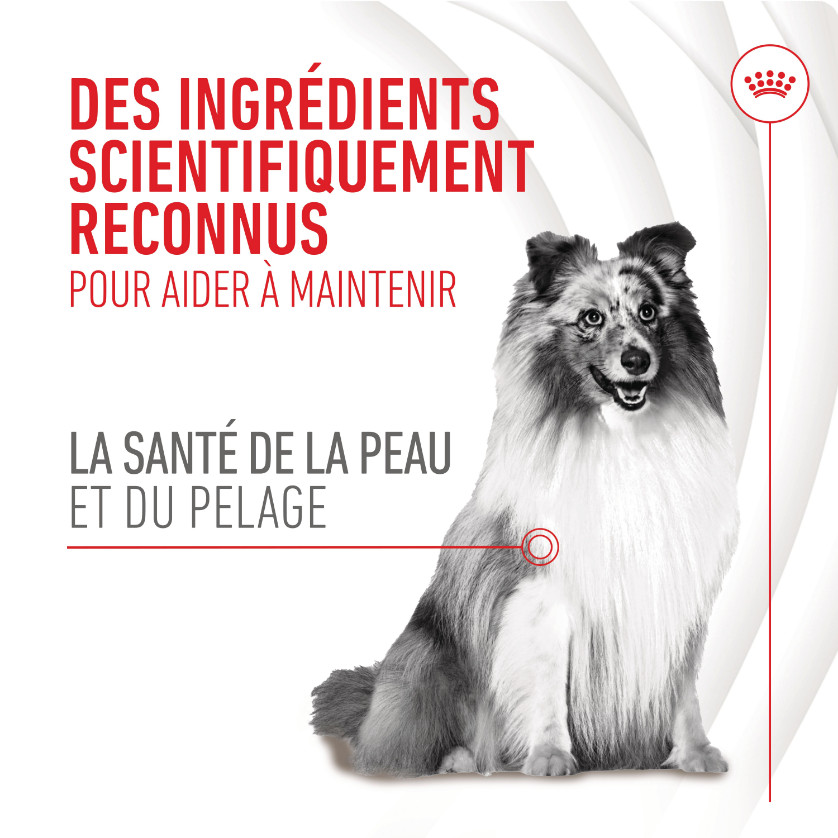 Royal Canin Skin & Coat Chews voedingssupplement hond