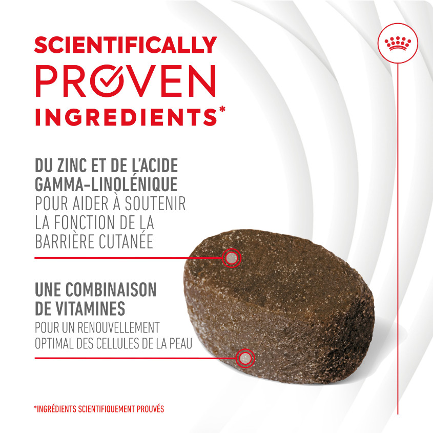 Royal Canin Skin & Coat Chews voedingssupplement hond