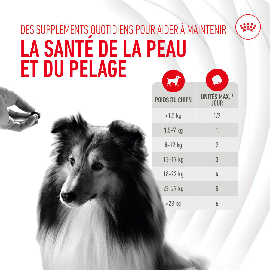 Royal Canin Skin & Coat Chews voedingssupplement hond