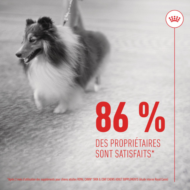 Royal Canin Skin & Coat Chews voedingssupplement hond