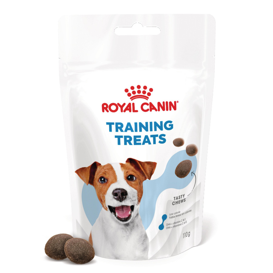 Royal Canin Educ pour chien