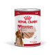 Royal Canin Medium Adult Loaf pâtée pour chien