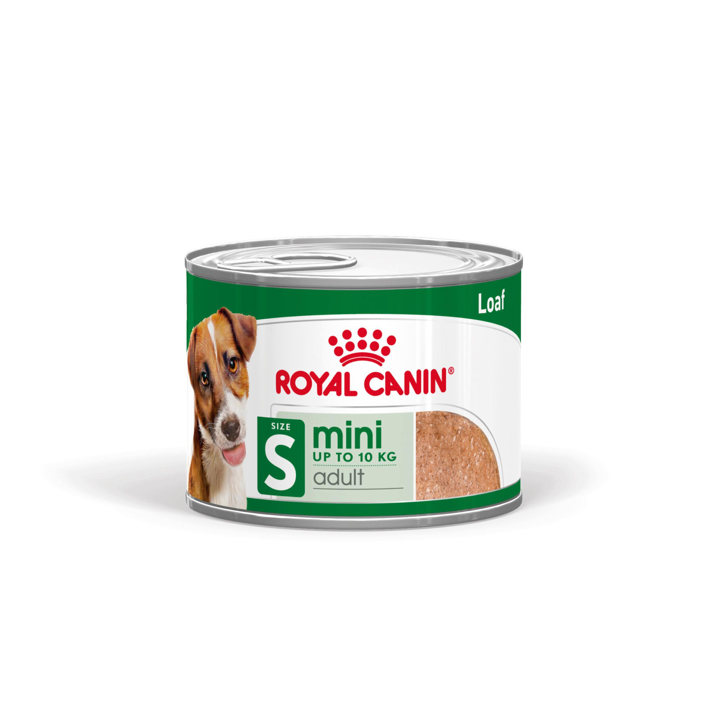 Royal Canin Mini Adult Loaf natvoer hond