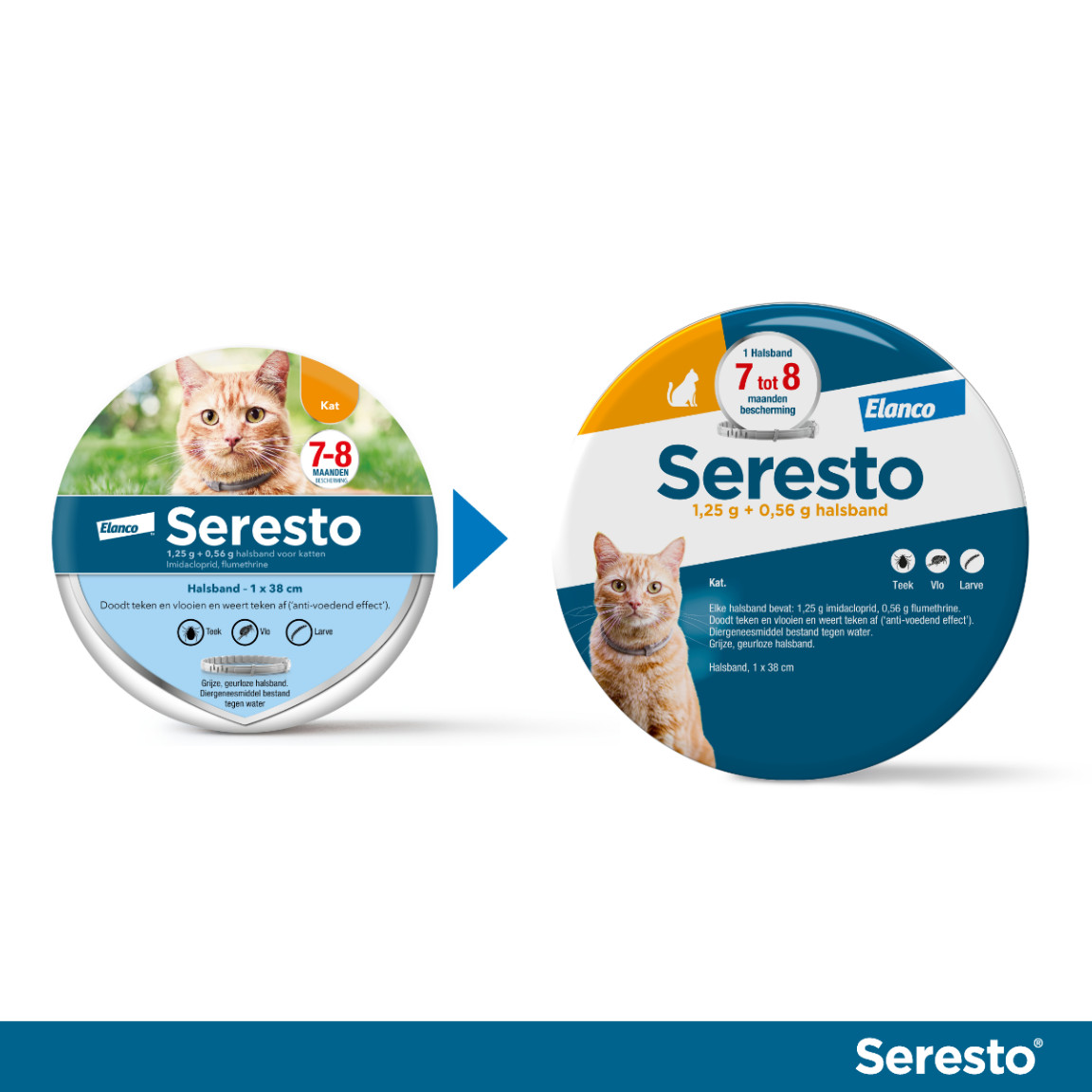 Seresto collier antiparasitaire pour chat
