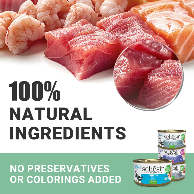 Schesir Cat Soup Wilde roze zalm en wortels Schesir Cat Soup Wilde roze zalm en wortels
