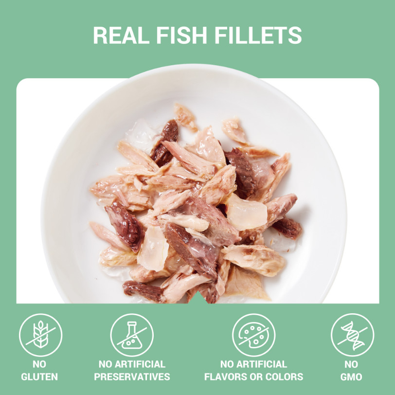 Schesir Tonijn met aloe Schesir Tonijn met aloe