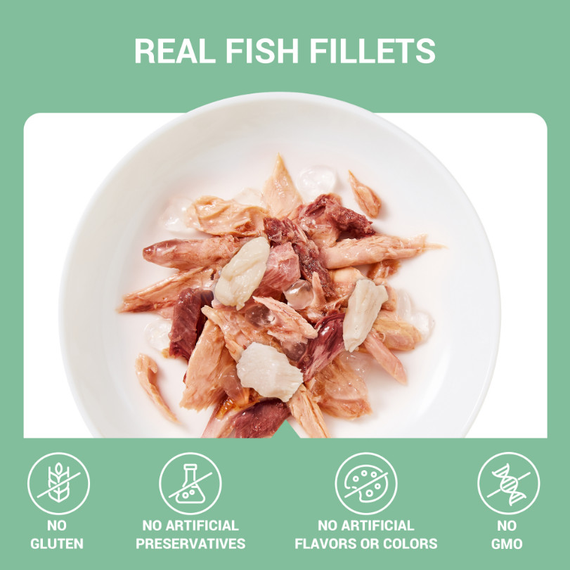 Schesir tonijn met tandbrasem (jelly) natvoer kat (blikjes 85 g)