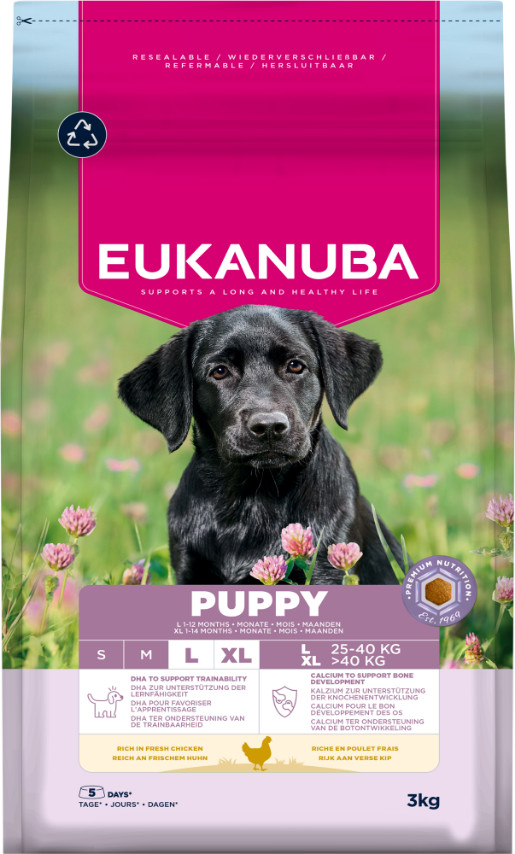 Eukanuba Growing Puppy Large Breed au poulet pour Chiot